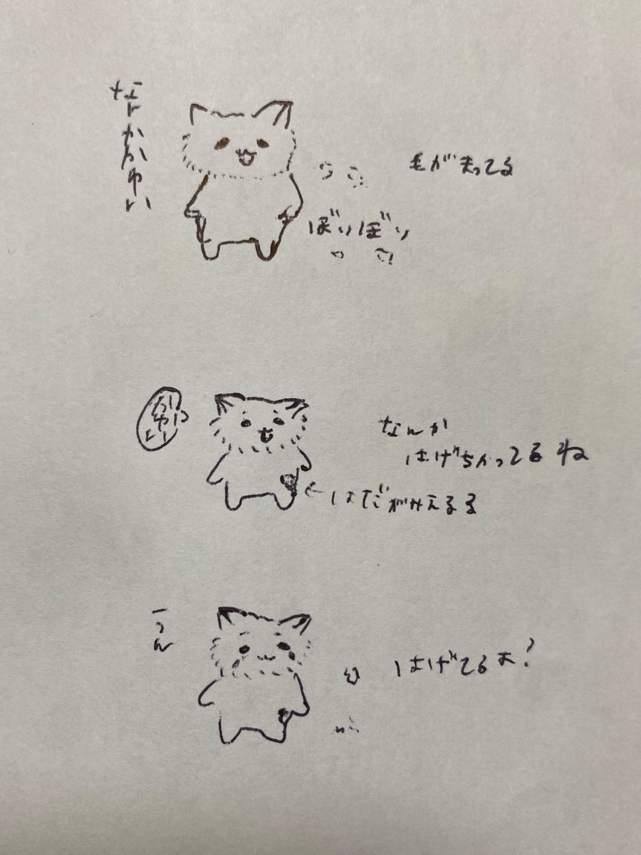 #イラスト

かわいそうだね