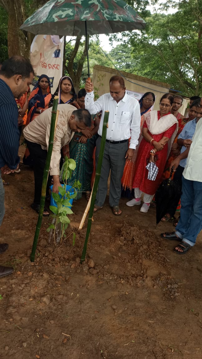 Block-Pipili tweet media