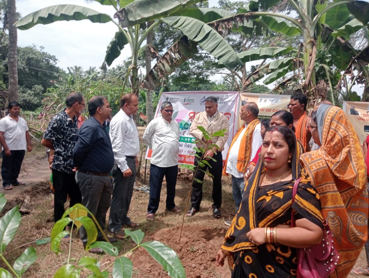 Block-Pipili tweet media