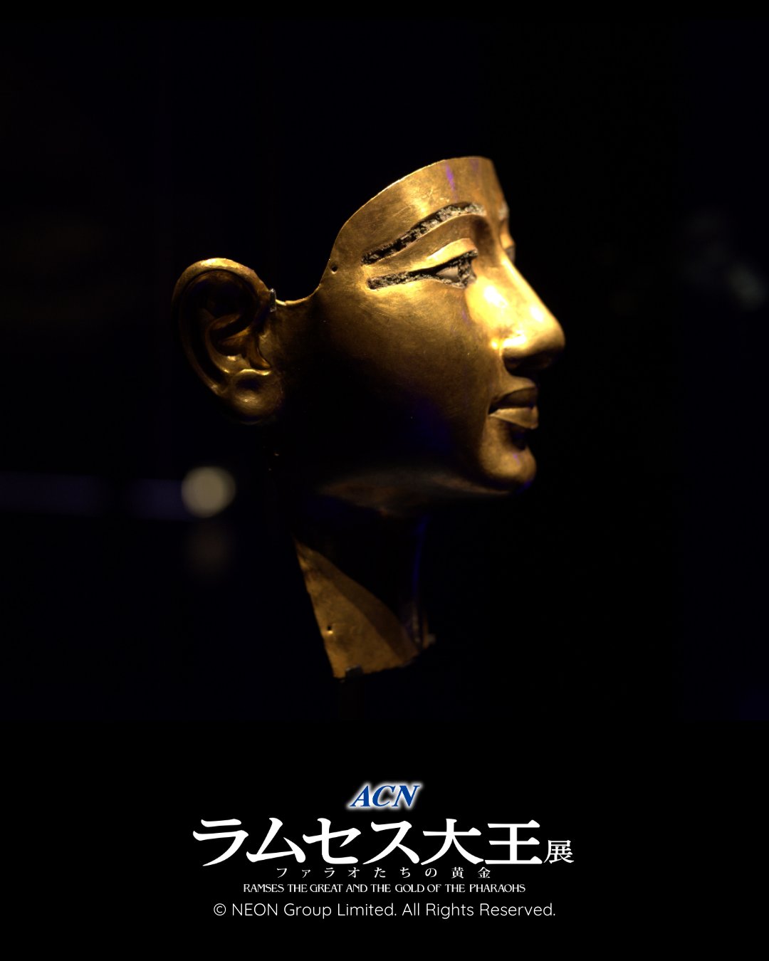 ACN ラムセス大王展 ファラオたちの黄金 on X: 