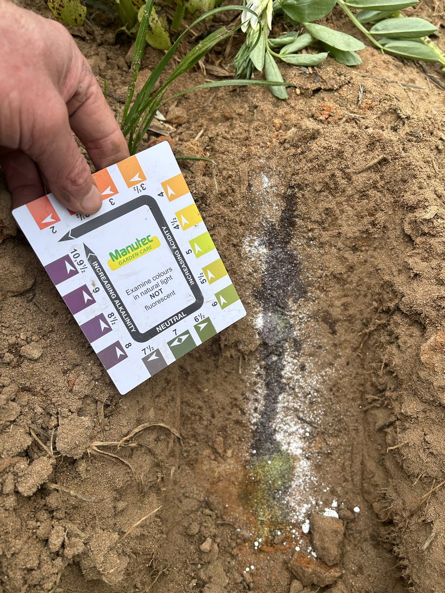 SouthernPulse tweet media