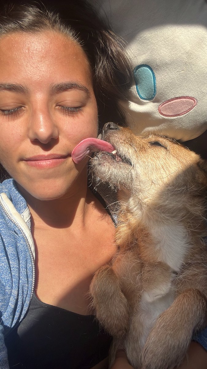 aroapeerez_'s tweet image. A veces me olvido de lo afortunada que soy de tenerte, eres lo más valioso que tengo en esta vida ❤️✨
#Brown #mascota #vida