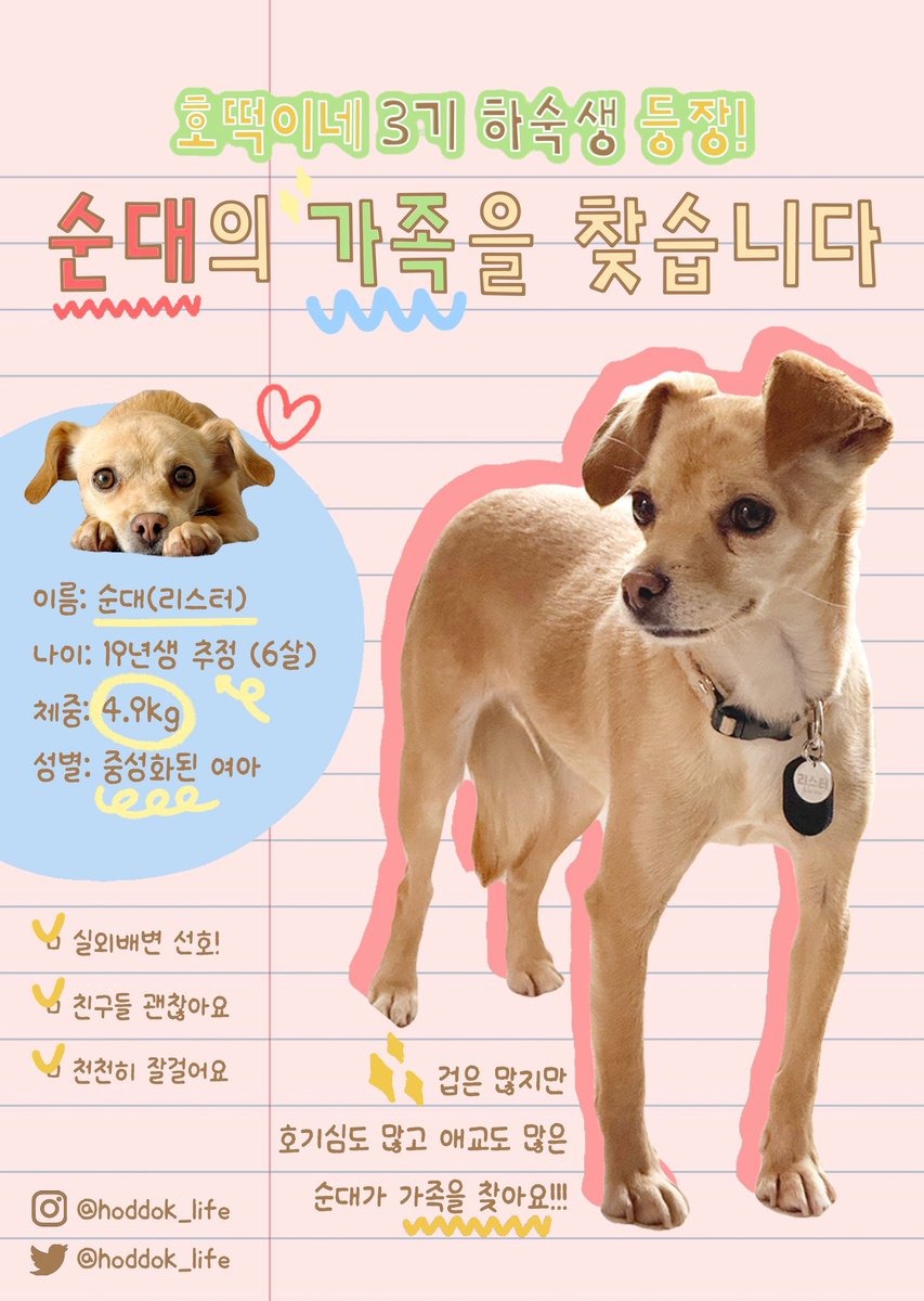 순대를 입양해요 
순대 
눈마주쳤으면 일단 알티해봐바요