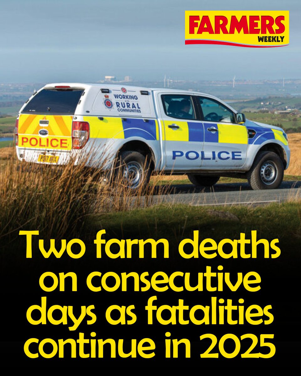 🗣️ "We’re seeing a real spike in fatalities, and no single cause. Sadly, people have found a variety of ways to kill themselves."

READ MORE: ow.ly/WiG350WXXla
