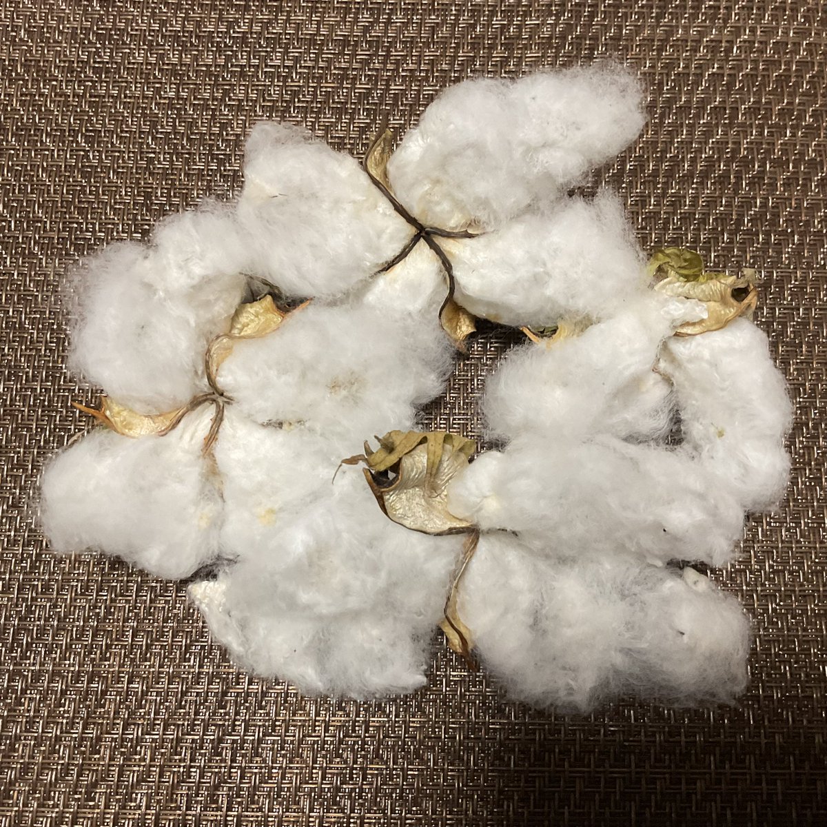 手織綿の作品 綿結束糸 全14色 単色 【 機織り 手織り 織糸 糸 横糸