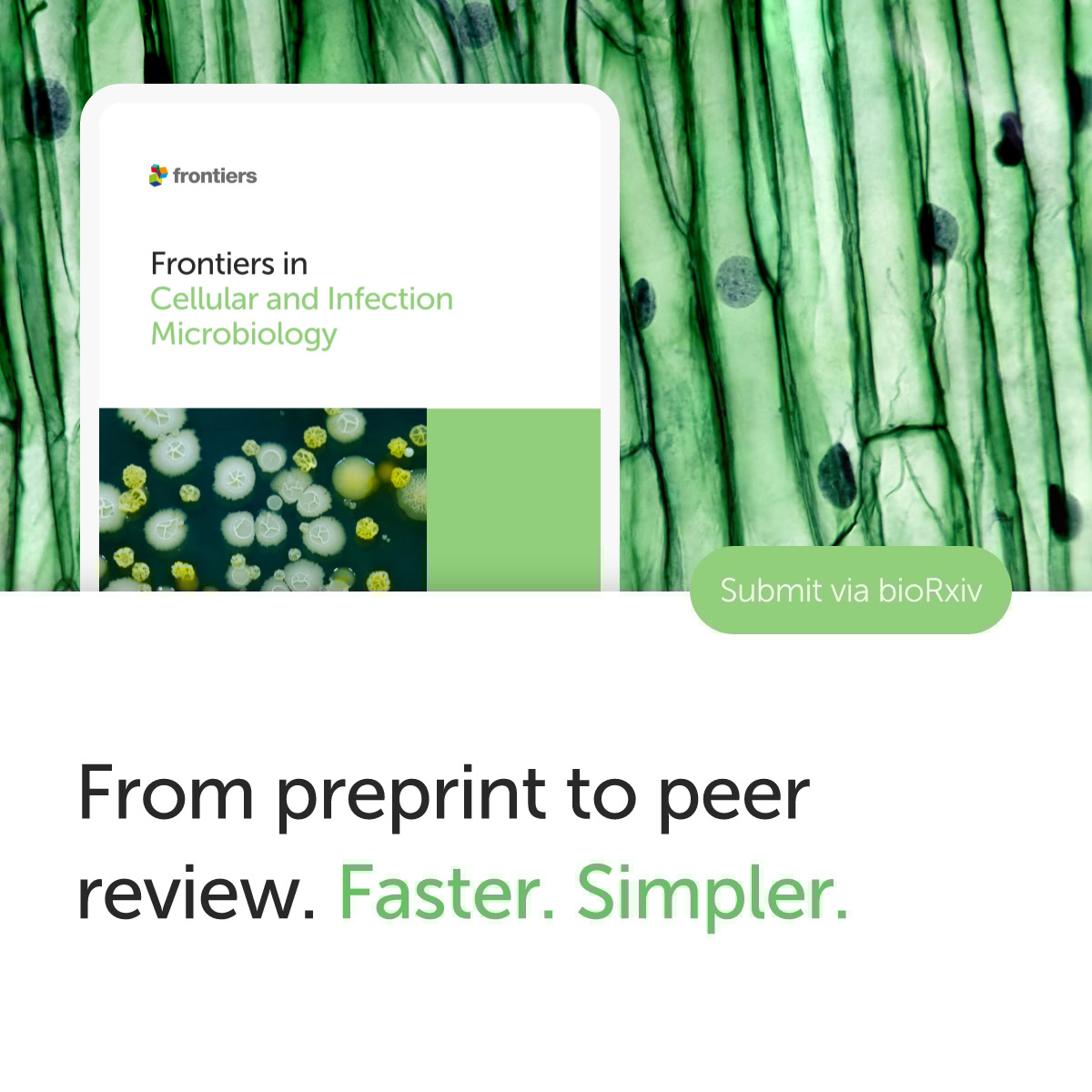 FrontiersIn's tweet image. Save time with @biorxivpreprint B2J.
Transfer your preprint directly into @FrontCellDevBio submissions  no duplication, just a smoother path to peer-reviewed, Open Access publication.