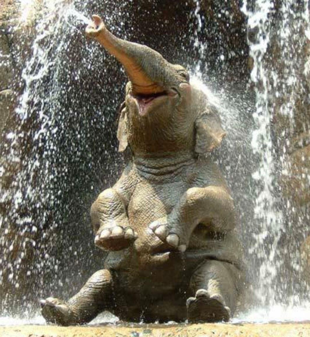 SILLYCAT67 tweet media