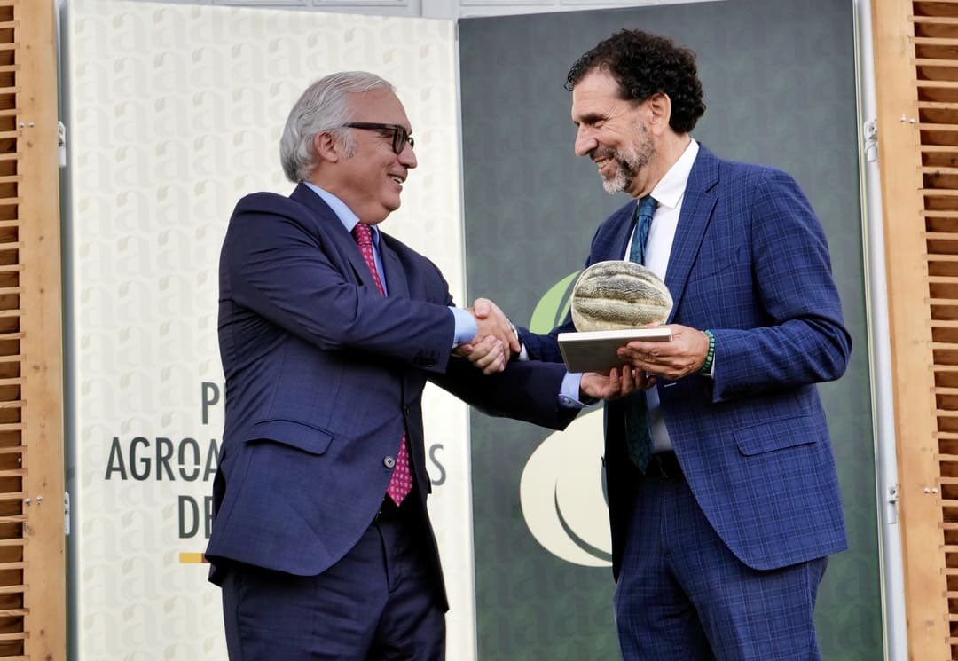 Orgullo para el #ClusterAlimentaciónAragón 🌱

Dos de nuestras empresas asociadas, <a href="/cervezasambar/">Cervezas Ambar</a> y Grupo Costa, han sido premiadas en los I #PremiosAgroalimentarios 🏆

Un sector fuerte, innovador y sostenible.