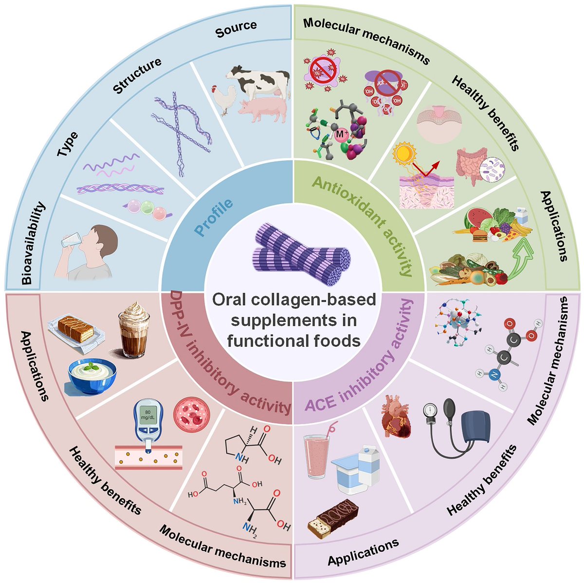SCU_CL's tweet image. Oral #collagen-based #supplement as a #bioactive component in functional #foods  

Yue Wu, Siqi Deng, Wenqi Wei, Yuanmeng He, Yunxiang He, Gonghua Hong, Yanbin Zheng, Linli Han*, Yifei Li, Yimin Hua and Junling Guo from @SCUCN and @UBC   

doi.org/10.1186/s42825…