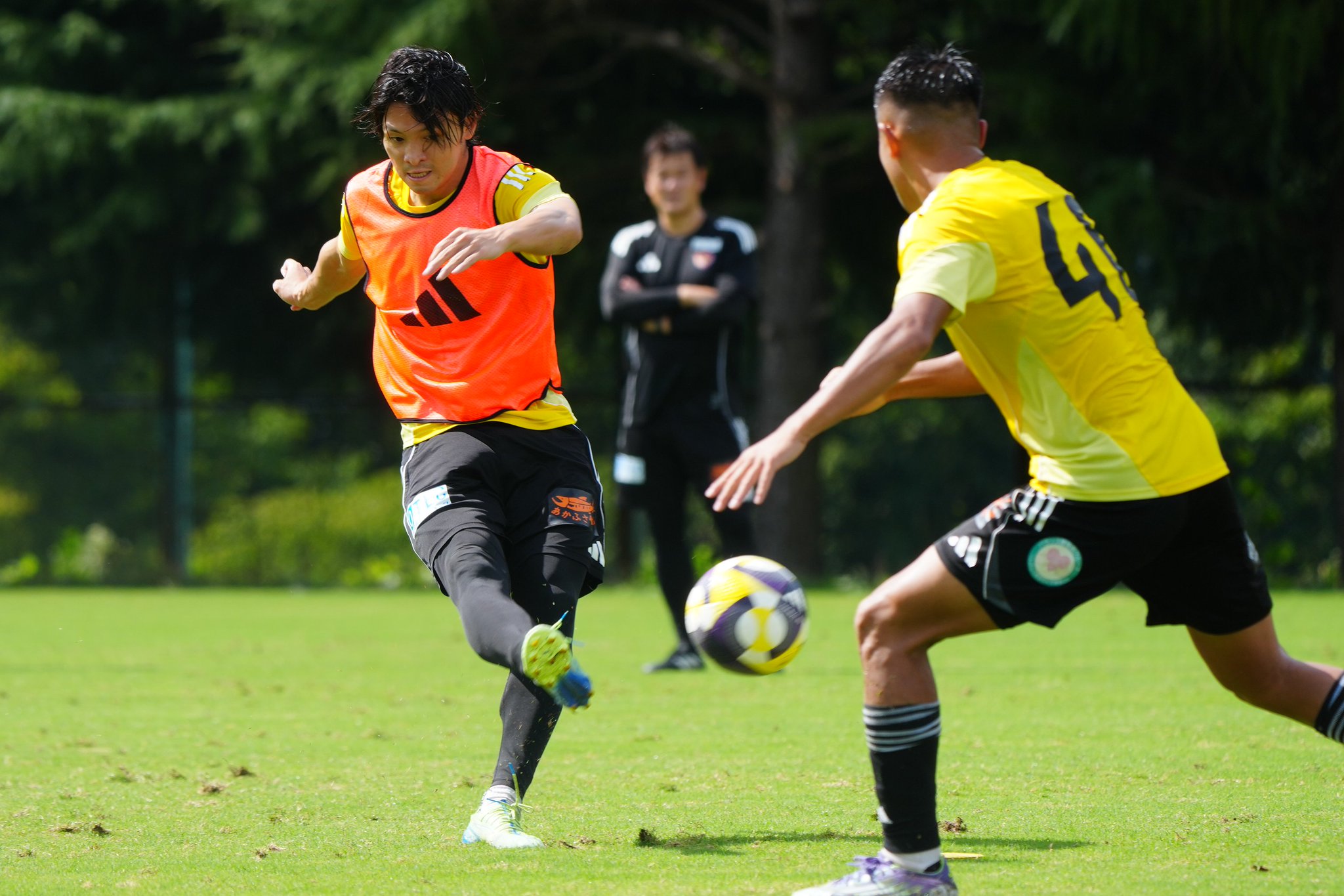 ベガルタ仙台 選手支給 ピステasicsモデル Amazon.co.jp: ベガルタ仙台 選手支給品 ピステ ユニフォーム