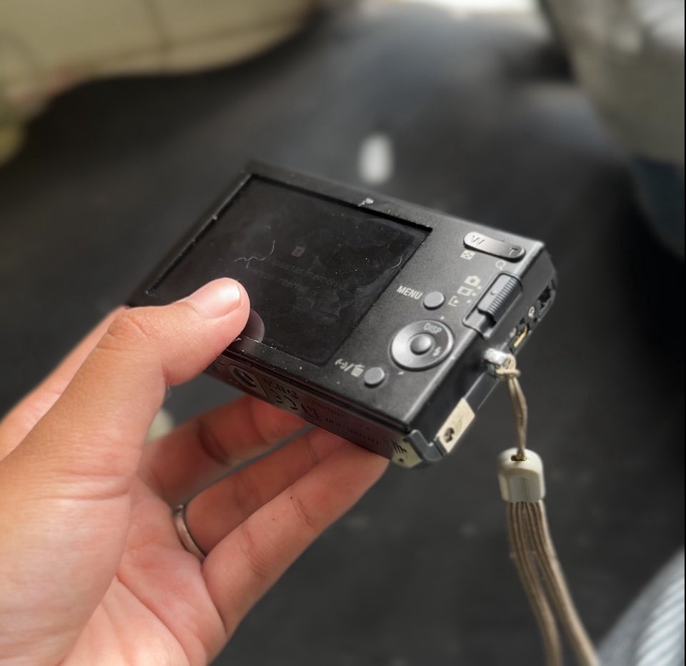whsloosh | wts digicam analog tweet media