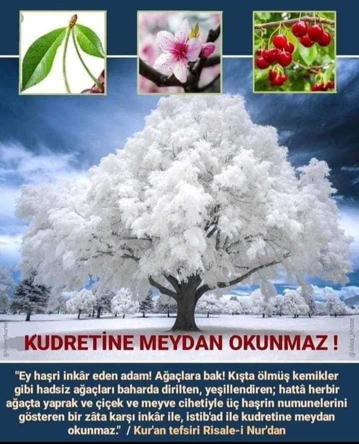 tabancali25's tweet photo. https://t.co/KuEKTq7tE3