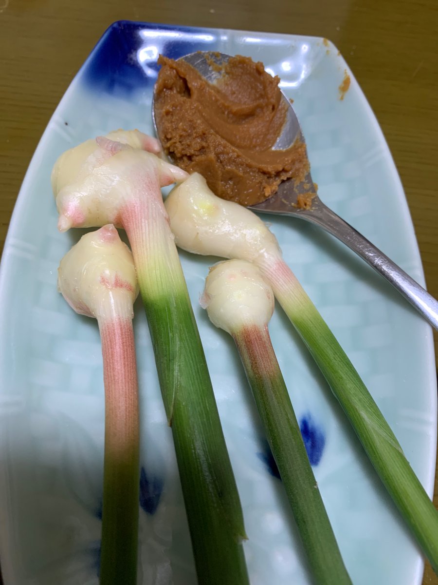 今晩酌中。今日畑から引っこ抜いた、谷中生姜でハイボール。去年は出来悪かったが、今年の生姜は出来が良かった。