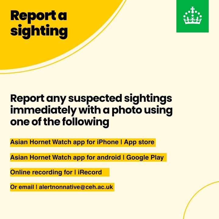 APHAgovuk's tweet image. #YellowLeggedAsianHornet!
 
These pests are predators of #honeybees and cause significant losses to bee colonies and other native insects. 

Find out more info &amp;amp; see how you can help APHA tackle the problem at: aphascience.blog.gov.uk/2025/09/01/tra… 

#aphascience #beehealth #YellowLeggedHornet