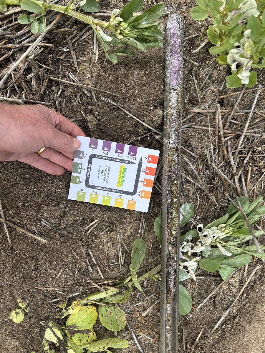 SouthernPulse tweet media