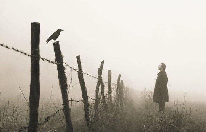 Fparrhesia's tweet photo. "Ölüm, sevdiğimizin varlığını bizden alır; ama bu kayıp, onların bizde bıraktığı varoluşsal izi silmez."  

—Heidegger https://t.co/y3JGuApfZe