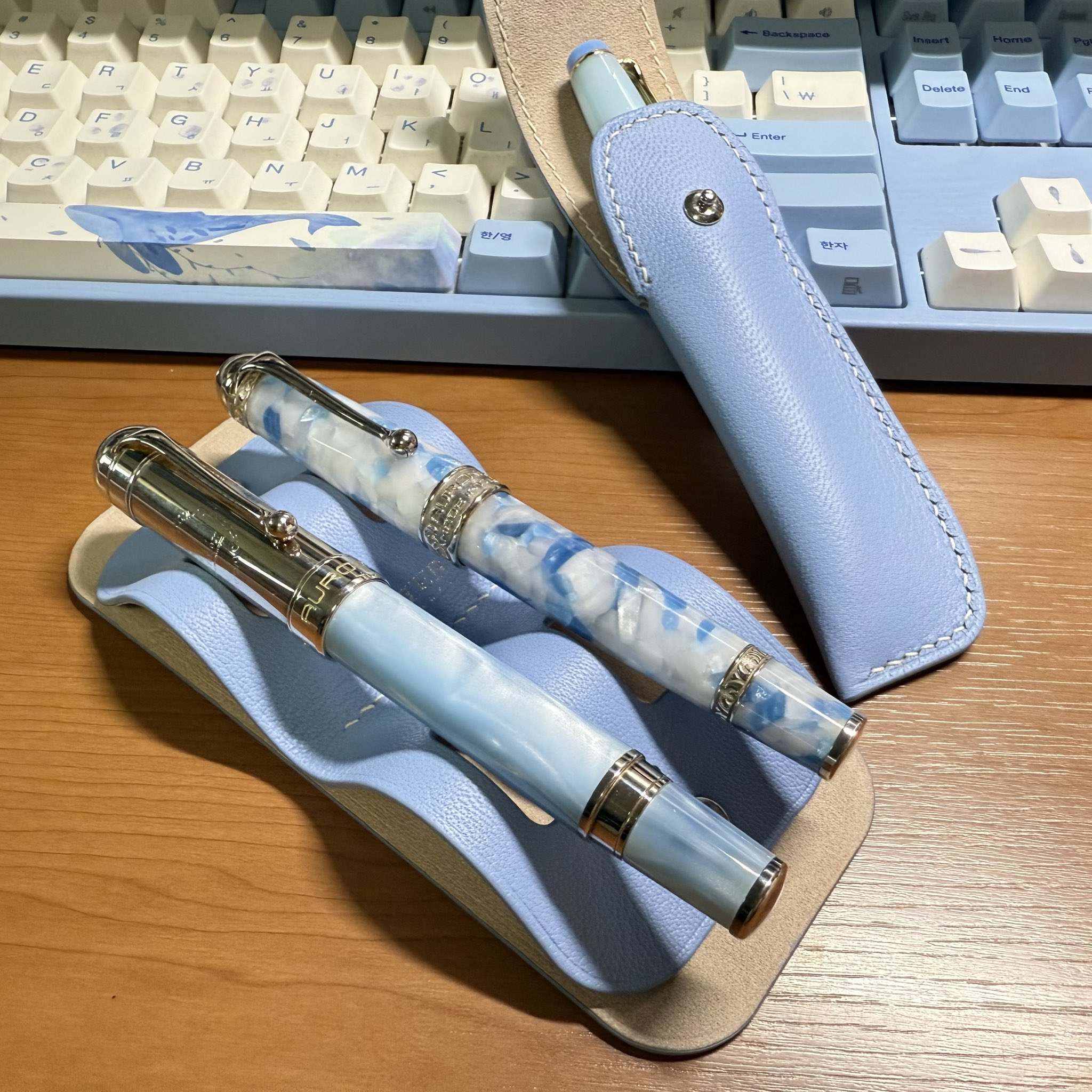 オリジナル万年筆駿河湾春 century2025 字幅F