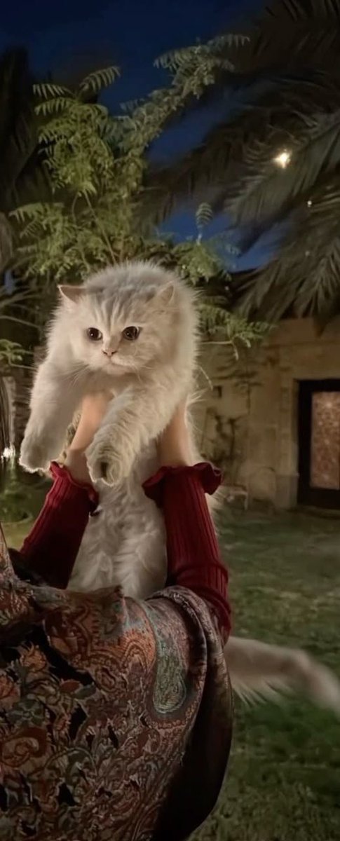 إذا وجدت لِيناً في أحدهم فاعلم 
          أنه شخص قوي، فالقُساة ضعفاء عقل 😴