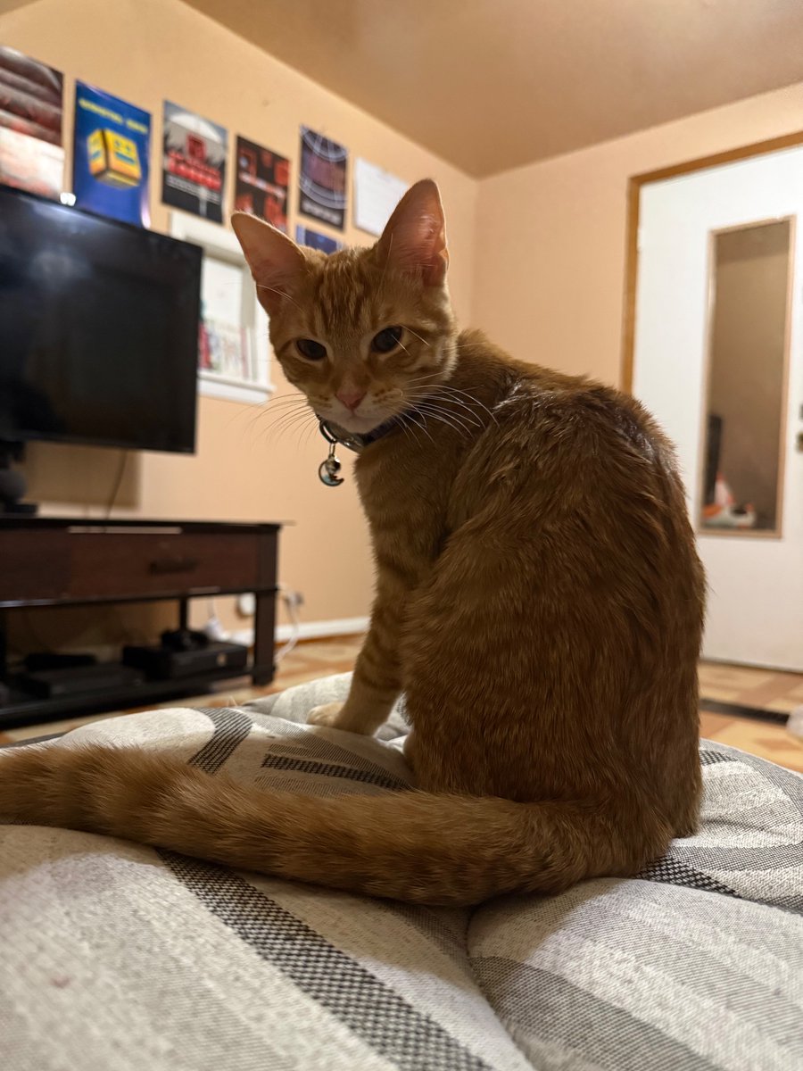 Mi vida ya se trata nomas de Mango