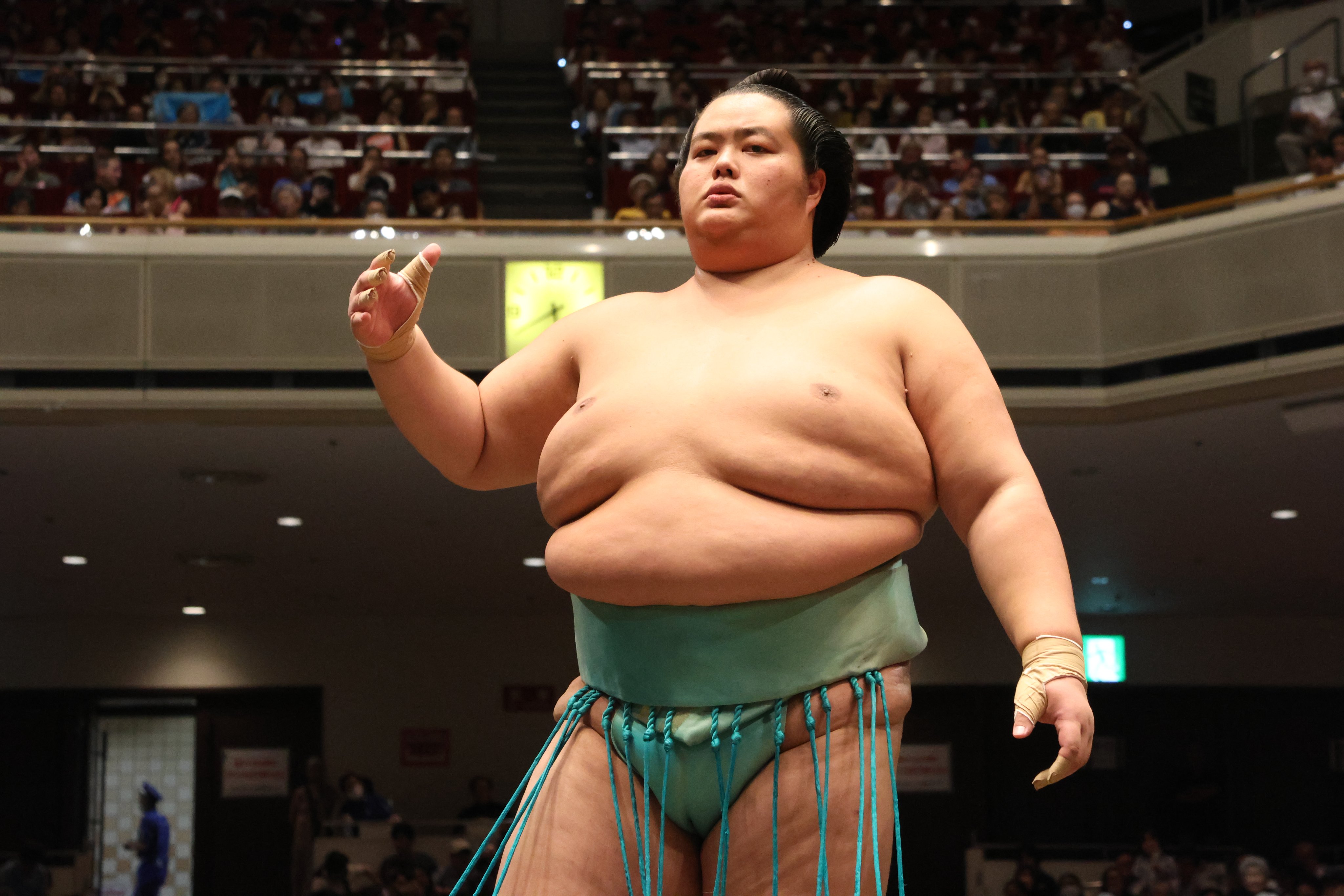 油絵　相撲　SUMO ヴィンテージ 油絵 相撲 SUMO ヴィンテージ 相撲力士/SUMO Wrestler (ed:1/200
