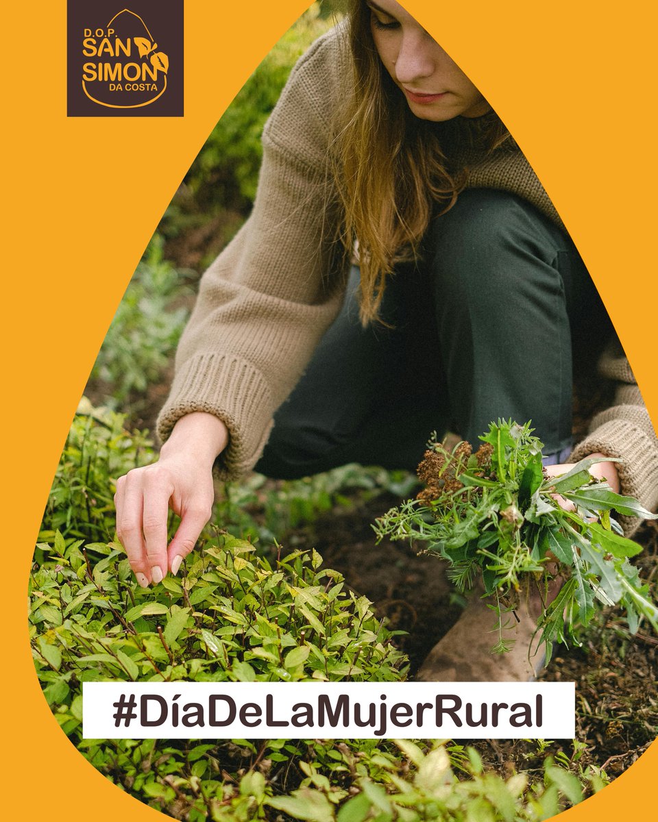 📜 La tradición de nuestro queso pasa de generaciones en generaciones, de una receta clásica a unas manos que la ejecutan 👐

Hoy celebramos el #DíaDeLaMujerRural, por todas aquellas que siguen trabajado y consolidando el mundo rural a través de su sabor, espíritu y riqueza 🌳💚