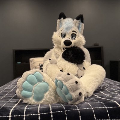 🐾🐾

📸 <a href="/rondofoxcoon/">Rondo</a>