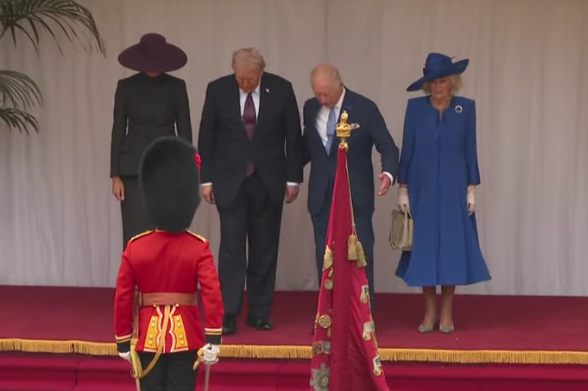 👑The Office of Cee Bee tweet media