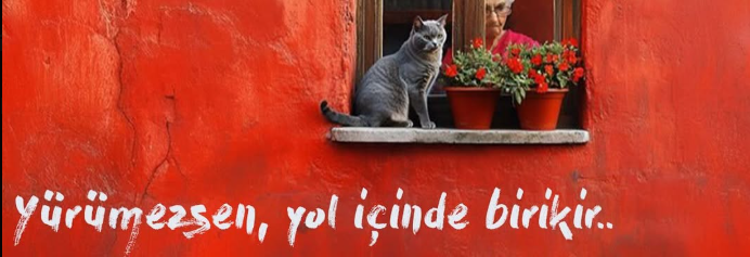 m_vezirr's tweet photo. Yürüdüm, yürüdüm
Çizgili yollara düştüm
Düşlediğim düşten düştüm
Düşürüldüm, uyandım, yine yürüdüm...

@Sagopakajmerrap https://t.co/YT2IlMDr6o