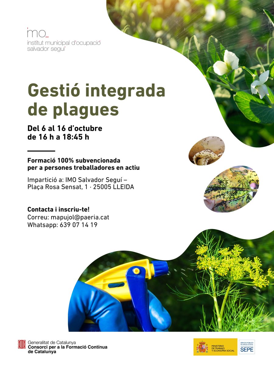 Institut Municipal d'Ocupació Salvador Seguí tweet media