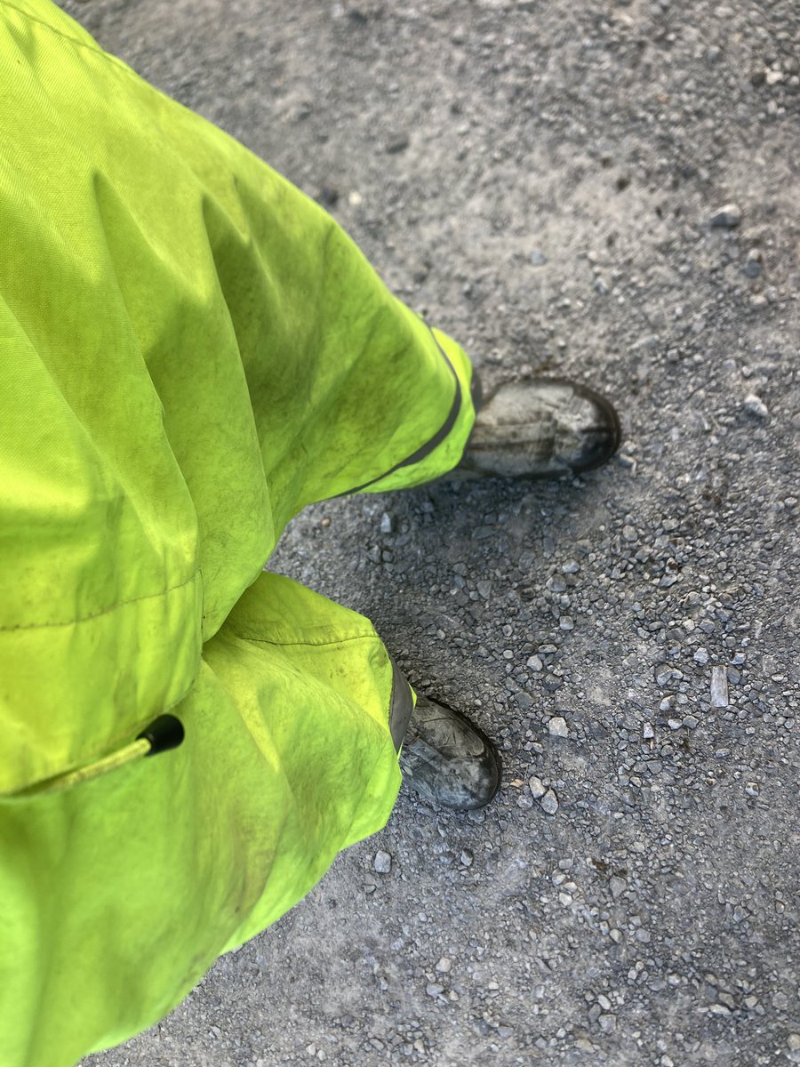 Aaron_Bowman_'s tweet image. My favourite meeting @Cheech_Cheech host every year. Virtual plot day. The best visual comparison of all the plots in central Ontario - pollination window and length of time exposed to drought really visible when you get husking back the varieties.