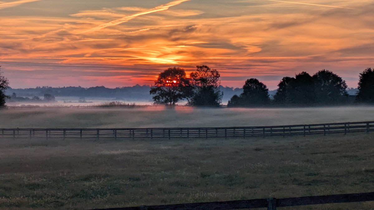 Good Morning Farm Cry Farm!