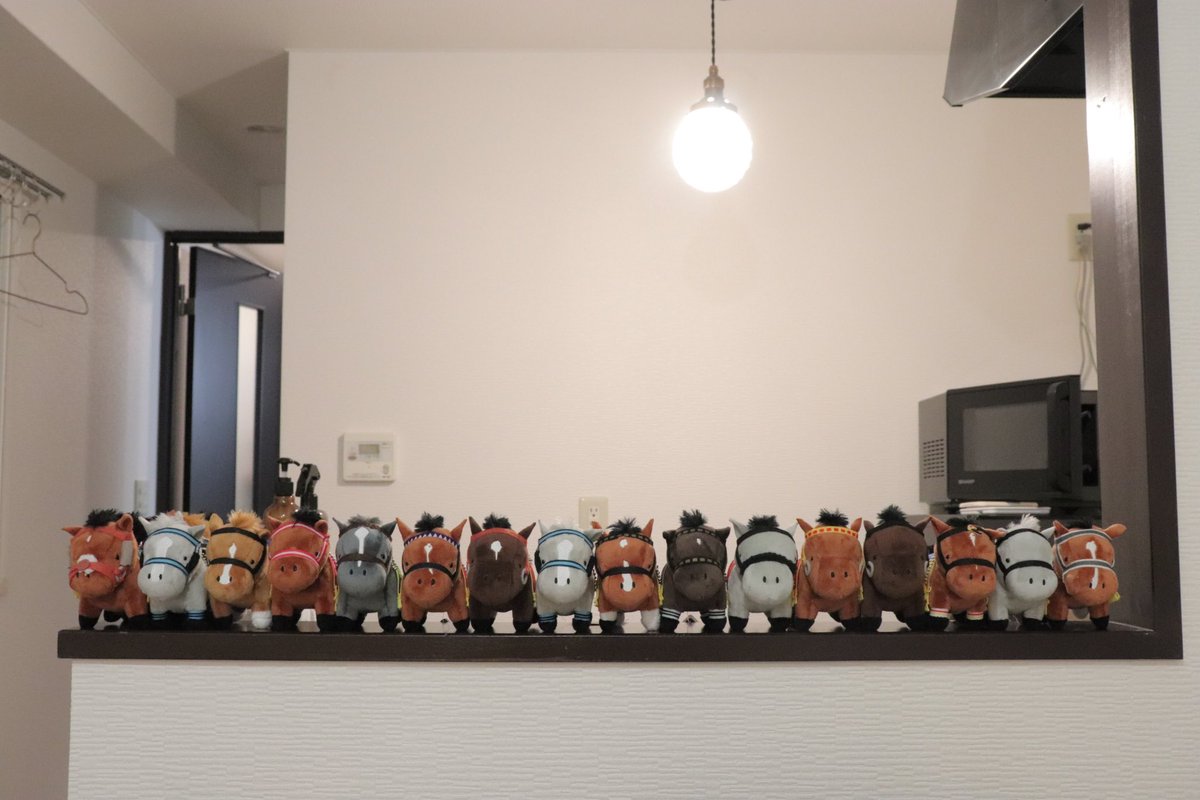 サラブレッドコレクション - Search / X