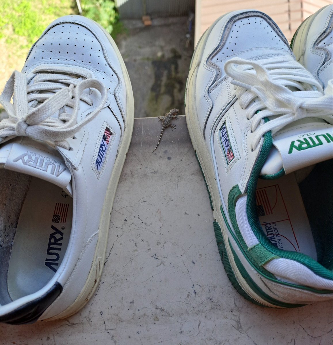 Mi confermate che oltre ad essere utile, porta fortuna??