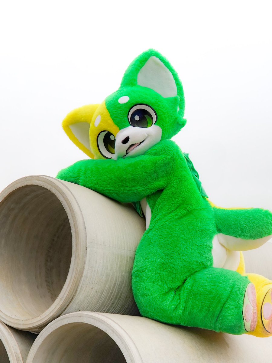 登ったはいいけど降りるのはちょっと怖いぼく。