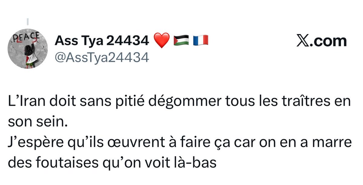 Depuis que le peuple iranien s’est soulevé contre le régime hier soir, nos réseaux sociaux sont envahis de commentaires de « pro-palestiniens » appelant à la mort des Iraniens, soutenant le régime de Khamenei ou dénigrant notre lutte. Les mêmes qui traitent la terre entière de «