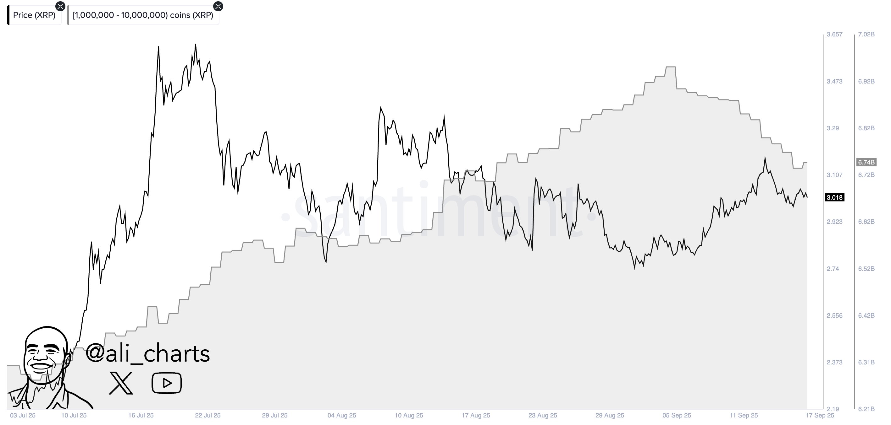 XRP Whale Supply