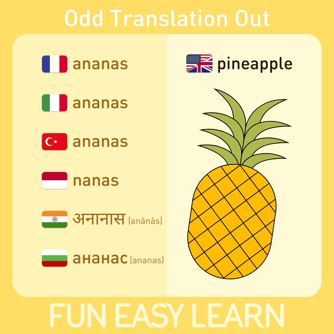 FunEasyLearn's tweet image. How many times have you asked for #ananas while speaking #English?😀🍍
Share your stories in the comments!👇
Learn to say #pineapple in 28 more #languages with #FunEasyLearn! Download our #freeapp:
🐝funeasylearn.com