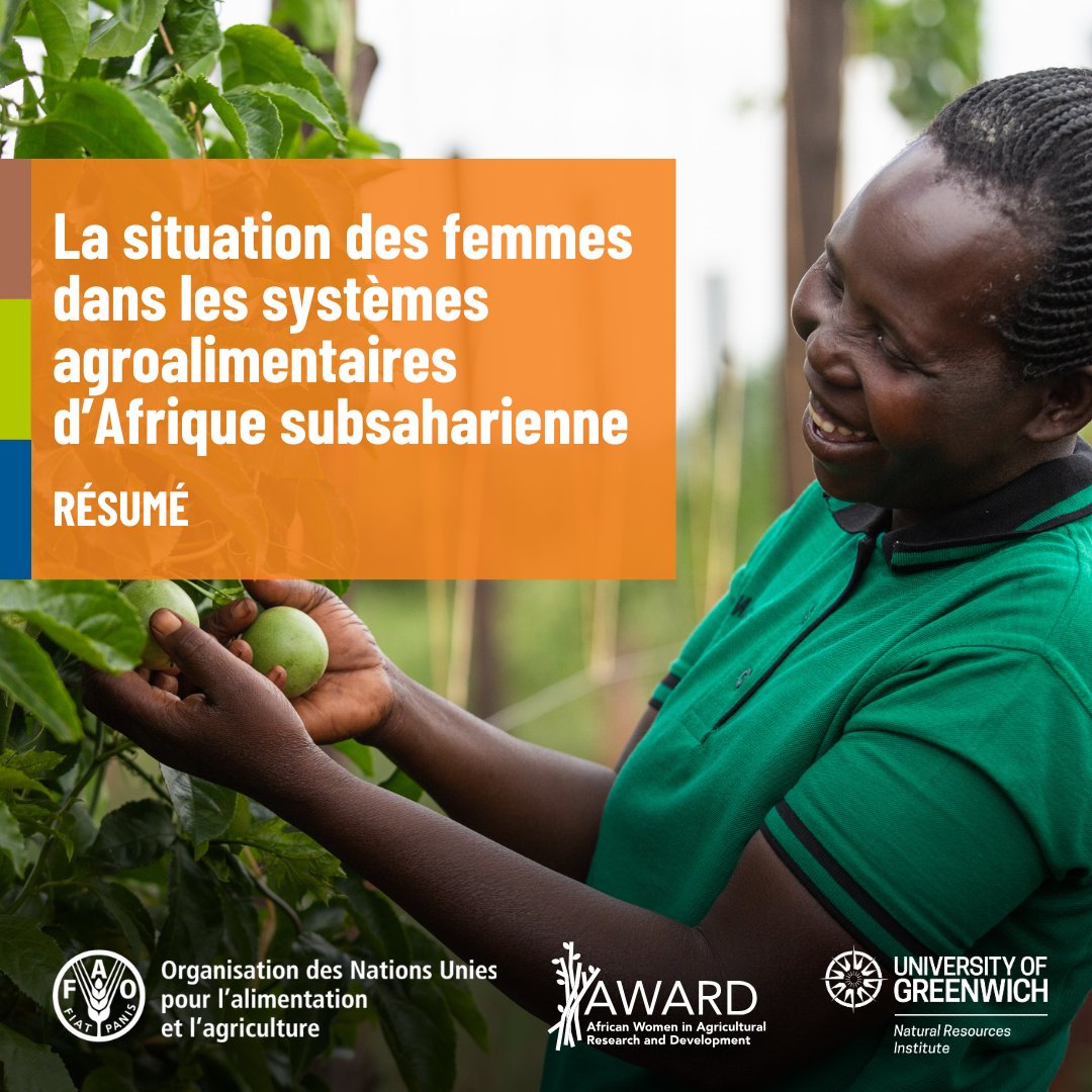 La situation des femmes dans les systèmes agroalimentaires d’Afrique subsaharienne. 👩‍🌾🌍

Soyez les premiers à accéder aux dernières données et recommandations pour promouvoir l'égalité des genres dans les systèmes agroalimentaires! 

➡️ bit.ly/4gvmq8n

#ÉgalitéDesGenres