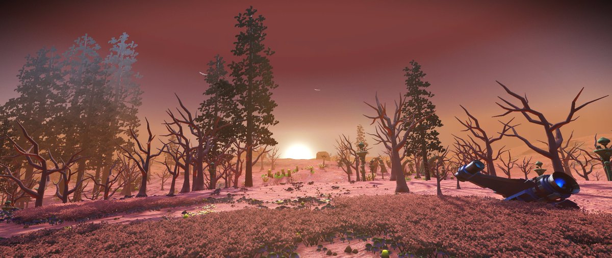 yes_mans_sky's tweet photo. The Beauty of No Man's Sky #314 - RaYRoD's Overhaul #NoMansSky #VirtualPhotography #ノーマンズスカイ @HelloGames @NoMansSky @RaYRoD_TV https://t.co/HH92ImmzVk