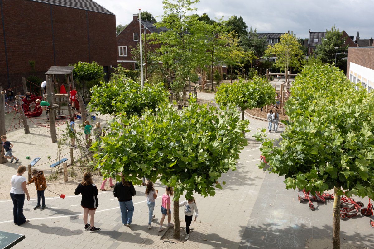 Dankzij de subsidie ‘Groene, Gezonde en Klimaatbestendige Steden en Dorpen’ zijn er in de provincie Utrecht de afgelopen jaren allerlei projecten vergroend! 🌿We bundelden de verhalen in een publicatie: bit.ly/41U92EK