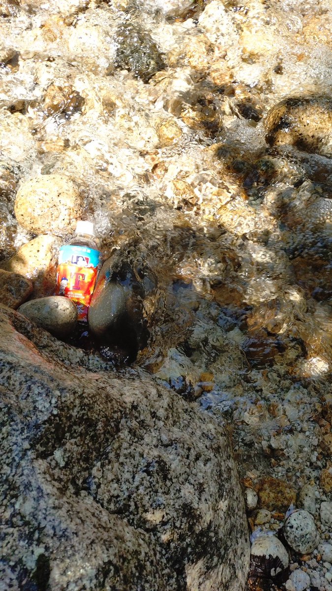 SNSって基本虚像だと思っているけど、だからこそふわふわした虚像だけでいい
SNSの中でくらい現実逃避ふわふわでいさせろ😾最近現実のがふわふわだぞ😾