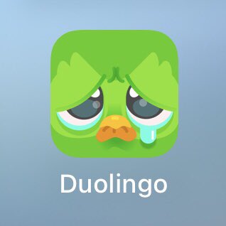 shinpatica's tweet image. 2週間前から、泣き止まないデュオリンゴ君、どうしたら、機嫌治るかな😆