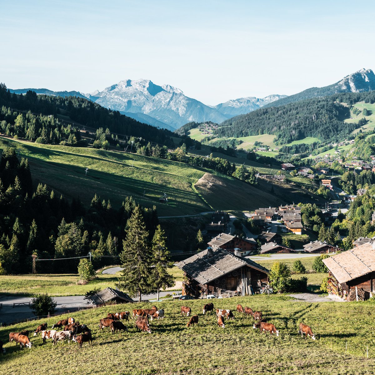 Le Grand-Bornand tweet media