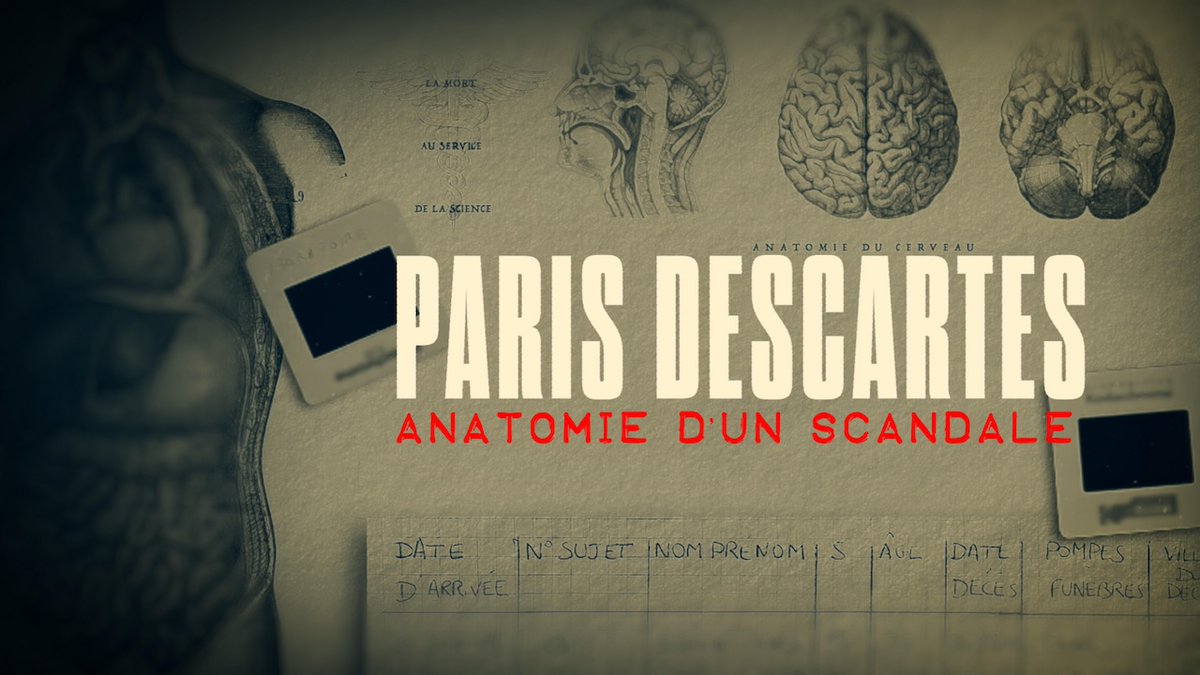 HikariGroupe's tweet image. Une plongée glaçante dans l&apos;horreur après la découverte du charnier de l&apos;Université Paris Descartes
📺 Paris Descartes, anatomie d&apos;un scandale, de D. Artur et P. Barrois, mis en ligne sur Planète + Crime et sur l&apos;app CANAL+ le 21/09 à 21h
#planetecrime #canalplus #pictanovo #hdf