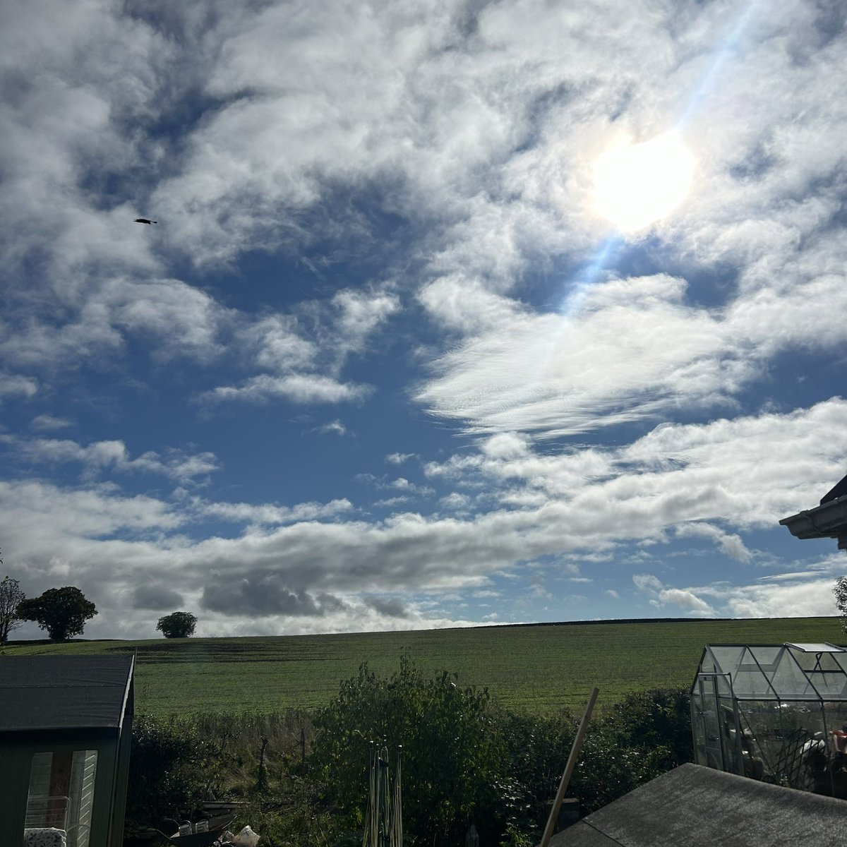 Morning all - no sea view today but this’ll do 😊