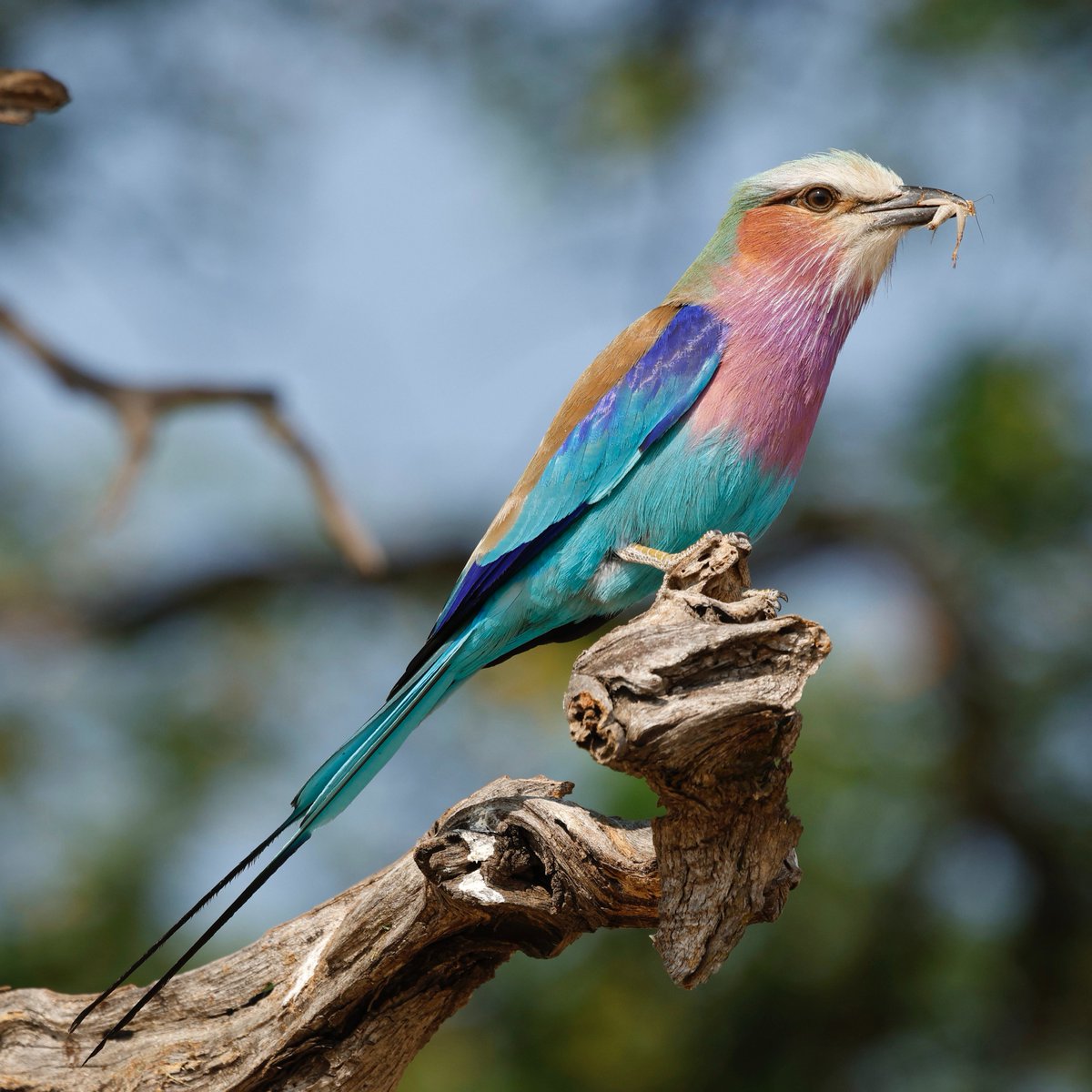 Reuben Braddock tweet media