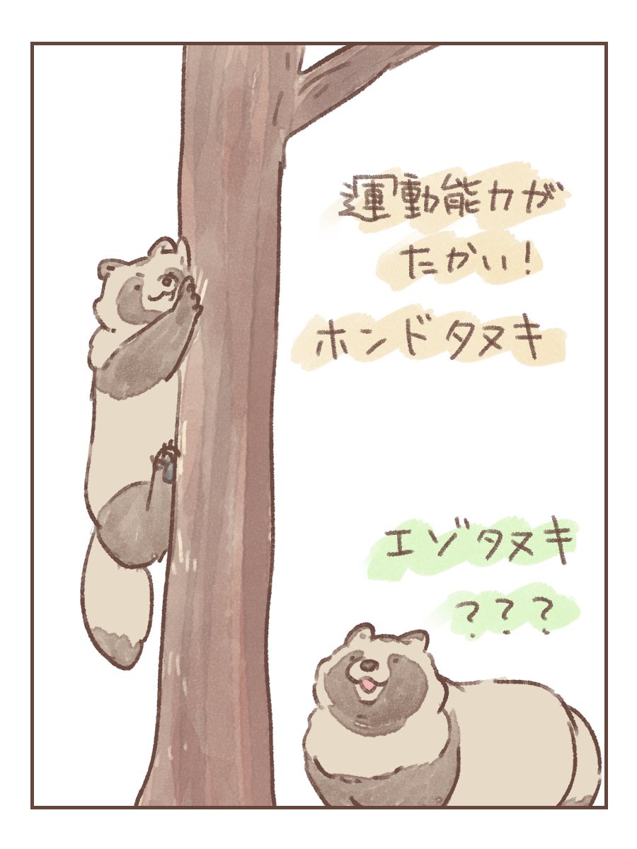 U724】たぬき 確認用 ③ 28個 U724】たぬき 確認用 ③ 28個 工芸品