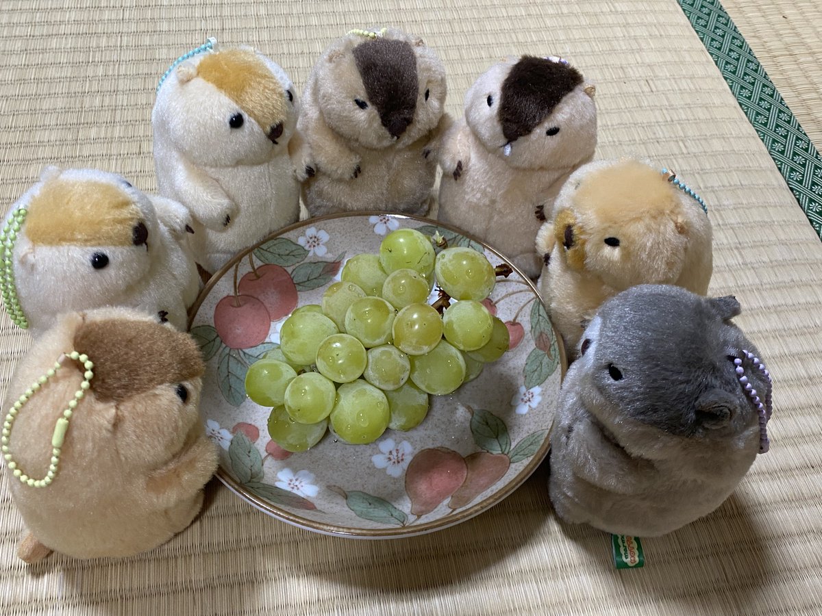 hanaオーダーページ じん (@zim____________) / Posts / X