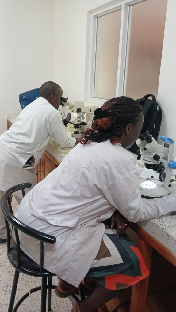 Day 3 of PCN Diagnostics Training – Uganda 🇺🇬
Today we dive into the world of microscopy – spotting the difference between cysts and soil debris.
It’s all about the details… and a steady hand!
Learning by doing = skills for life <a href="/icipe/">icipe</a> <a href="/IITA_CGIAR/">IITA</a> <a href="/FAOKenya/">FAO in Kenya</a> <a href="/FAO/">Food and Agriculture Organization</a> <a href="/HarunMuthuri/">Harun M. Murithi</a>