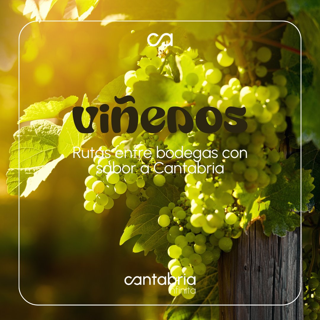 🍁 Viñedos de Otoño: rutas entre bodegas con sabor a Cantabria
¿Sabías que en Cantabria hay rutas vinícolas con paisajes espectaculares y vinos con carácter propio? 

Catas maridadas, alojamientos rurales y experiencias que van más allá del vino.

🍷👉 turismodecantabria.com/blog/vinedos-d…